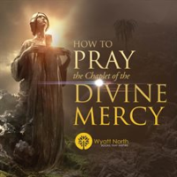 How_to_Pray_the_Chaplet_of_the_Divine_Mercy